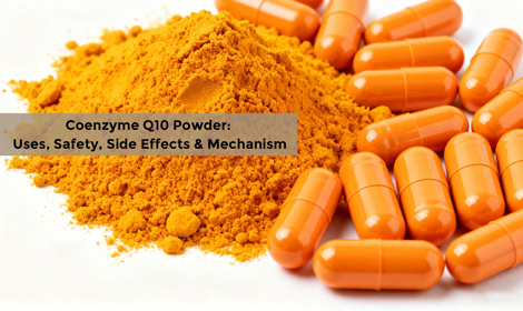 Coenzyme Q10 Powder: Uses, Safety, Side Effects & How It Works